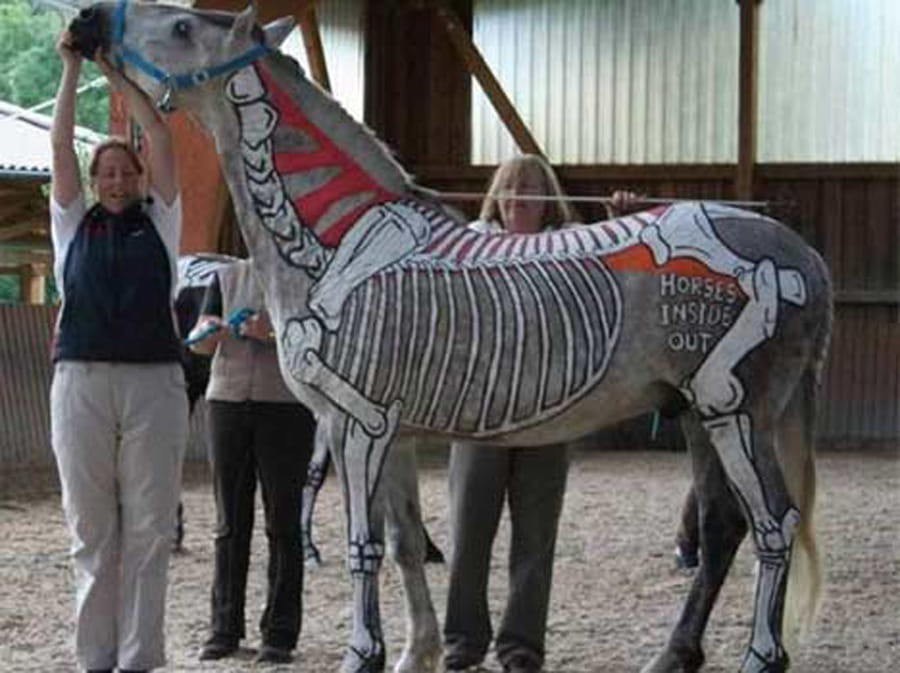 Controversial Works of Art Using Animals as Canvas
