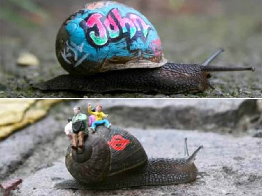 Controversial Works of Art Using Animals as Canvas