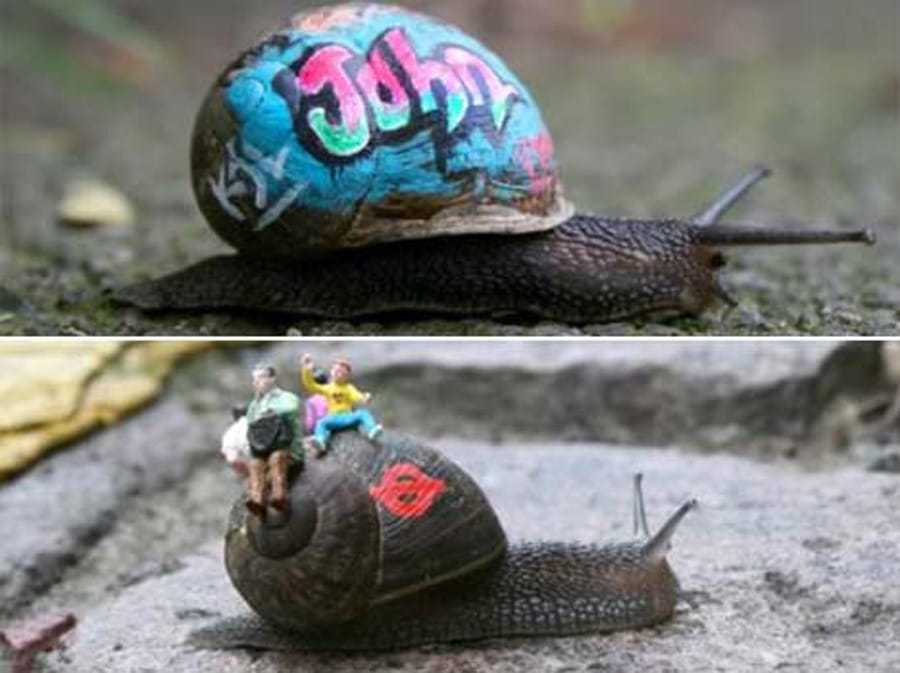 Controversial Works of Art Using Animals as Canvas