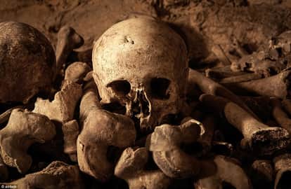 one night stay at world's largest grave in paris