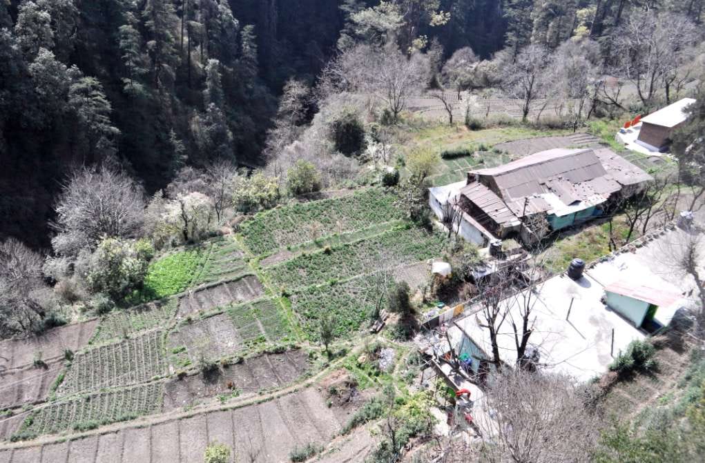 villagers use waste water for irrigation in dadni ka bagicha village