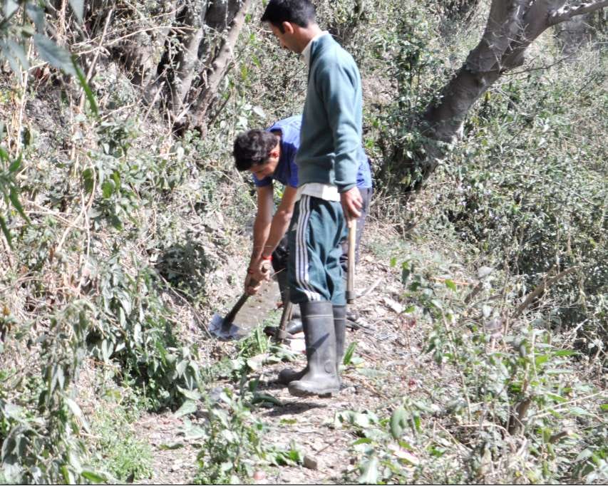 villagers use waste water for irrigation in dadni ka bagicha village