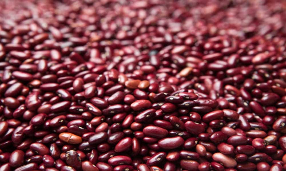 kidney beans health benefits and side effects