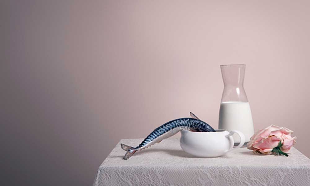 Milk Myth Busters
