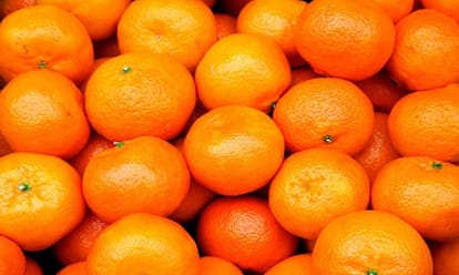  tips to control baldness