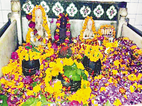 Har har Mahadev reverberates in Dharmnagri