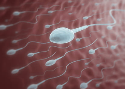 Wife's strange demands, asking sperm from dead husband's body for pregnancy 