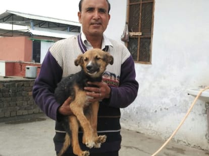 news on pet lover ved prakash