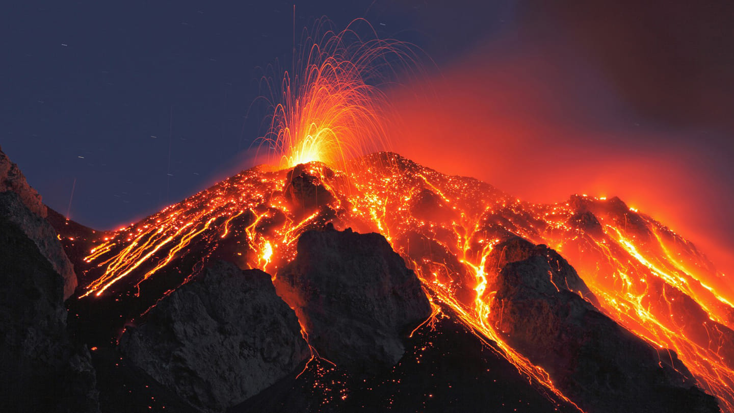 sixth sense of animal about earthquakes