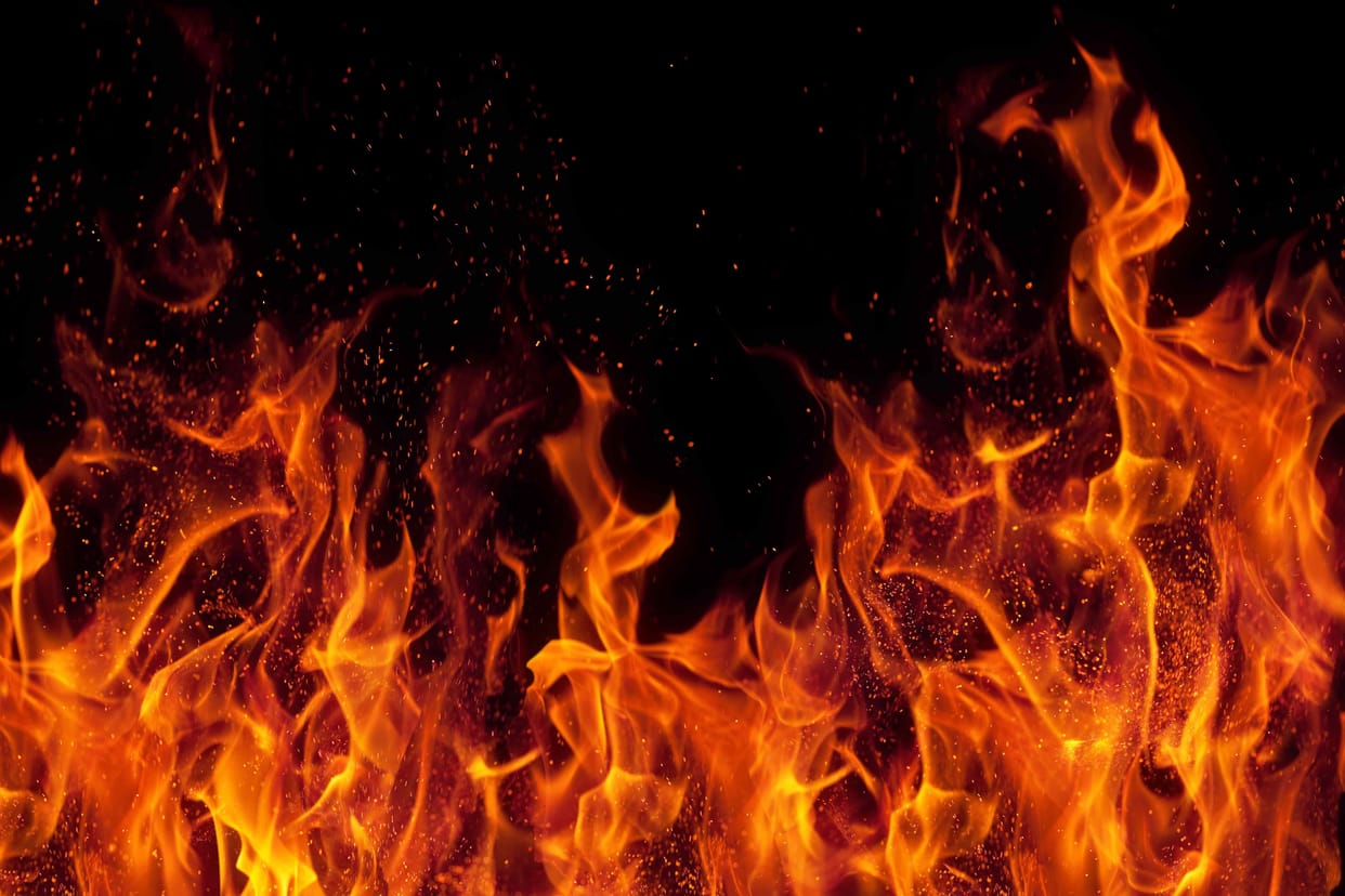 seven animals burns in Fire.