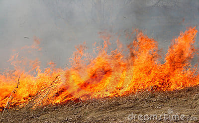 fire in feilds due to crackers