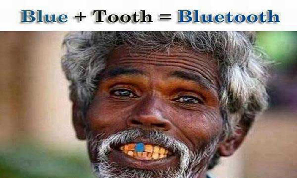 funny pics