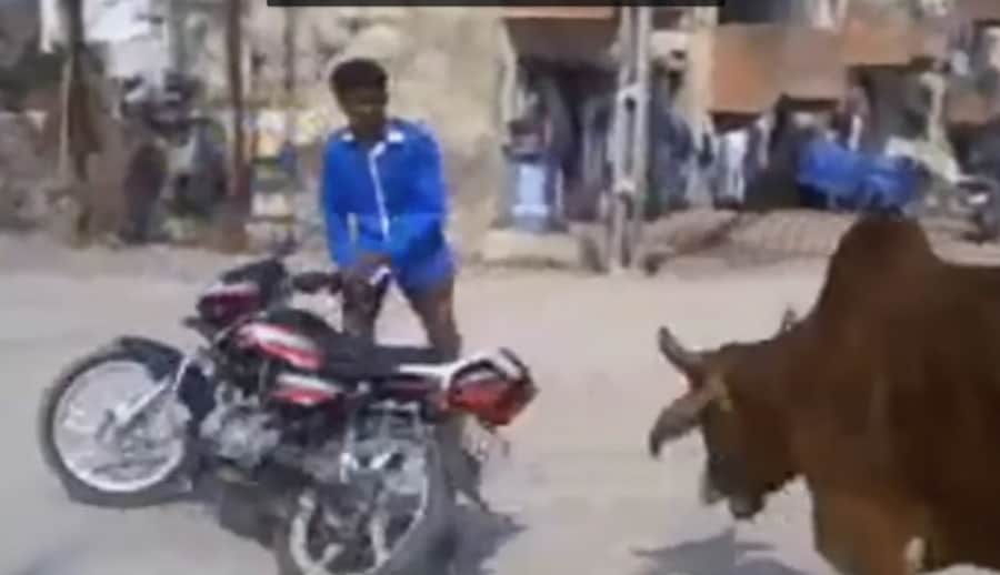 फनी वीडियो