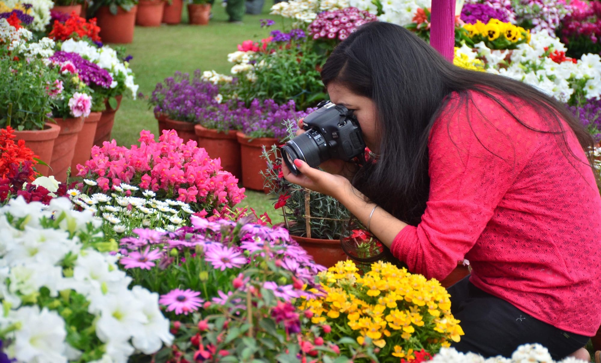 vasant festival pic from rajbhawan.