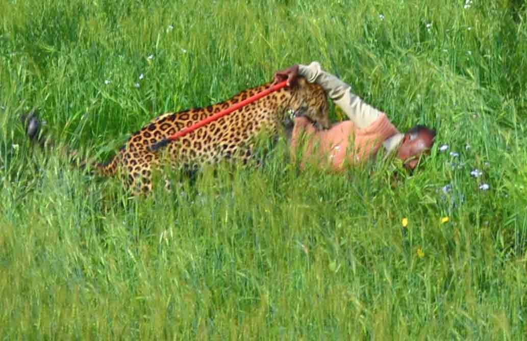 Guldar killed