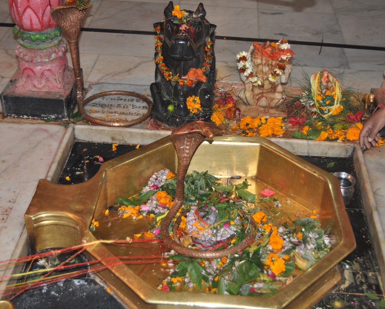 fair on mahashivratri will be organized at 122 places