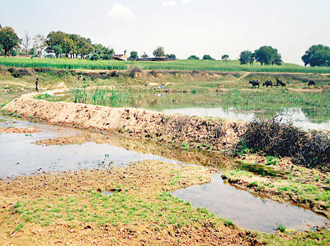 Flood waters have stopped drinking stops MP