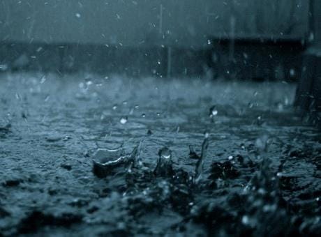 The rain season is pleasant, wheat gained