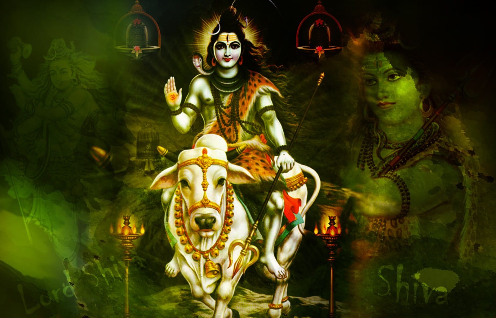 Maha Shivaratri pooja Will open doors of fortune