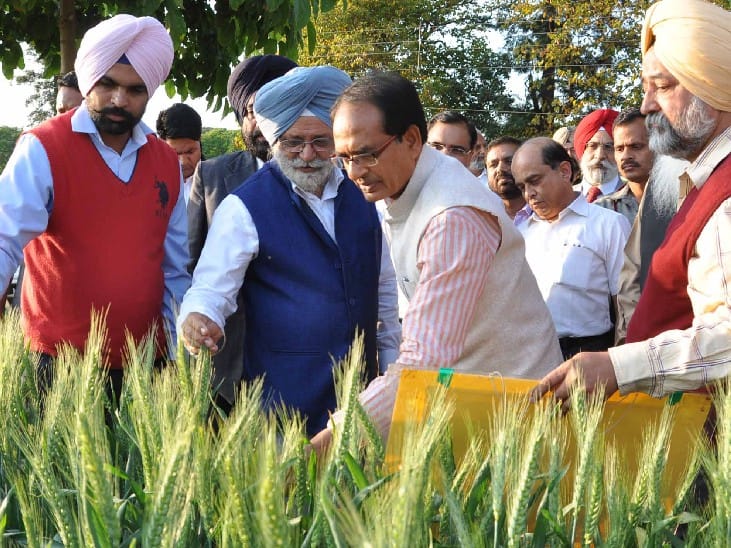 shivraj singh chowhan, pau, punjab agriculture university, ludhiana, punjab