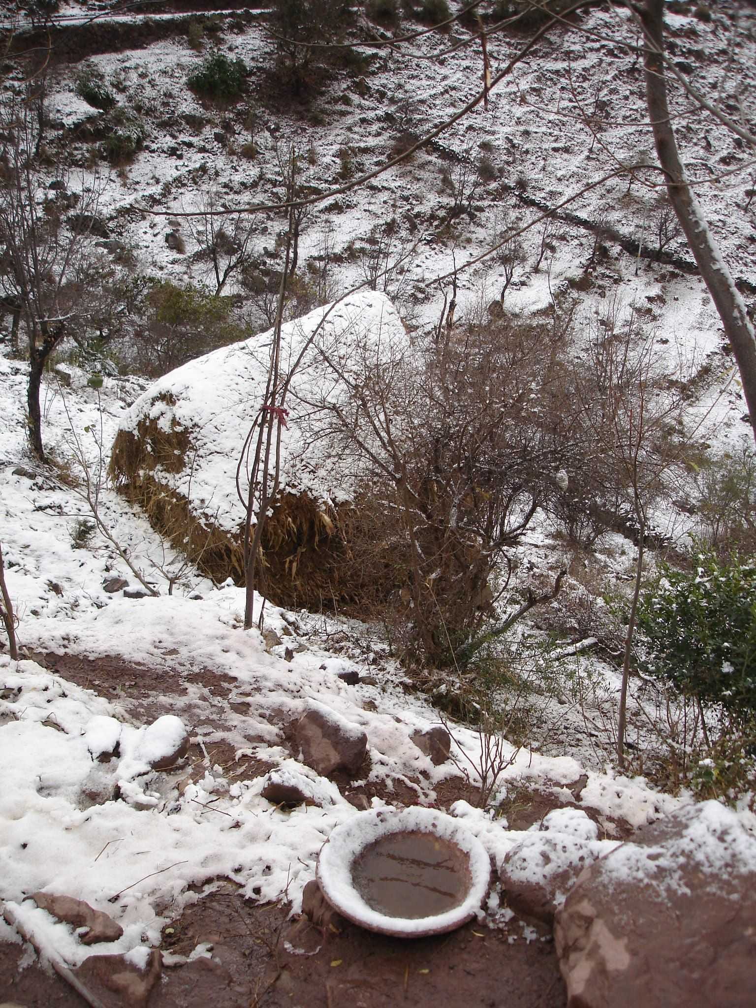weather jammu kashmir, snowfall in Kashmir