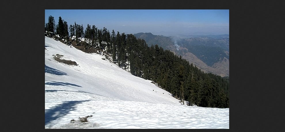 snowfall in himachal, 7 student trapped in forest.