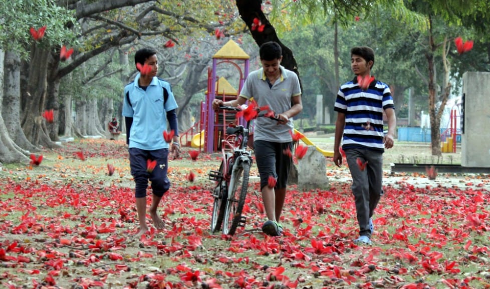 weather report, chandigarh weather, chandigarh beauty, winter season, amazing weather pics