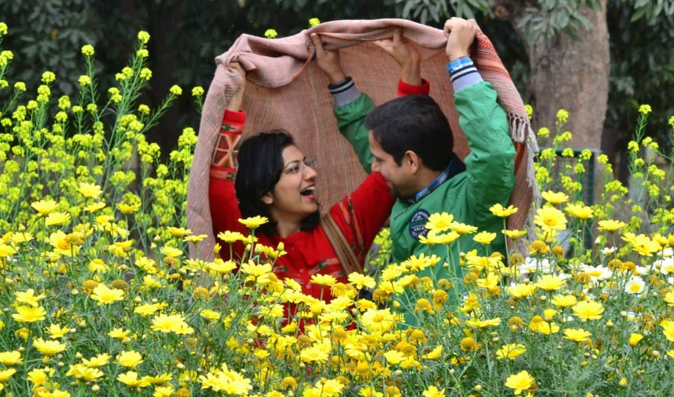 weather report, chandigarh weather, chandigarh beauty, winter season, amazing weather pics