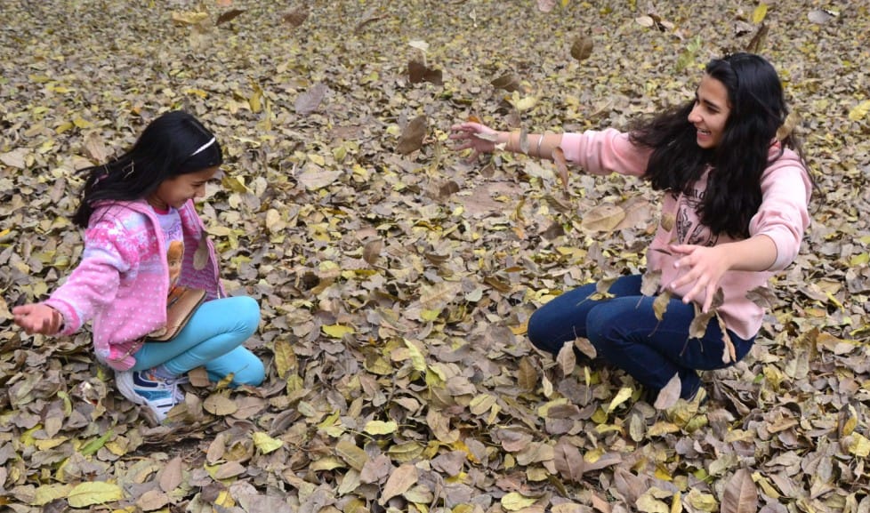 weather report, chandigarh weather, chandigarh beauty, winter season, amazing weather pics