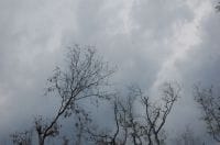 panipat problem land, weather chang panipat, panipat farmer