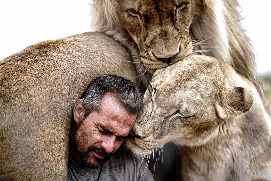 friendship between lion and human