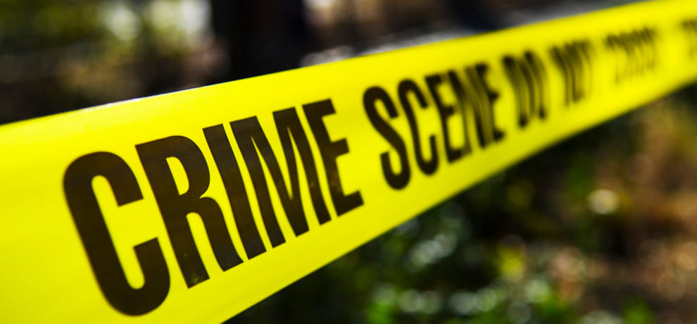 Lawyer on the case, including three on the fake sale deed