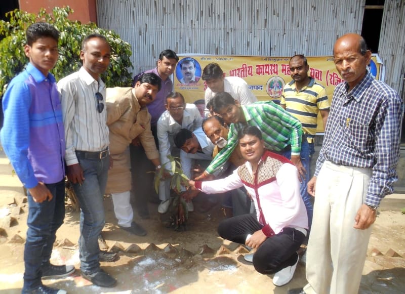 Planted medicinal plants