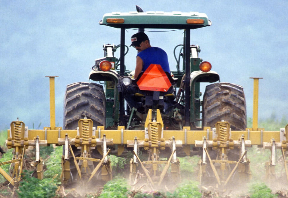 Now litter farms improve the health of
