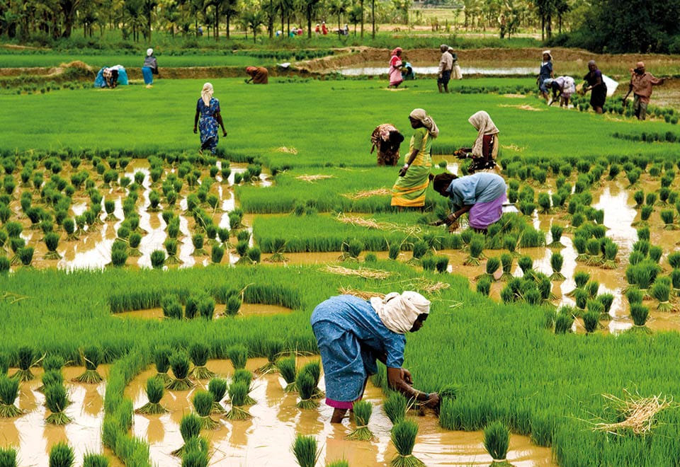 India lacks in Faming from China and US