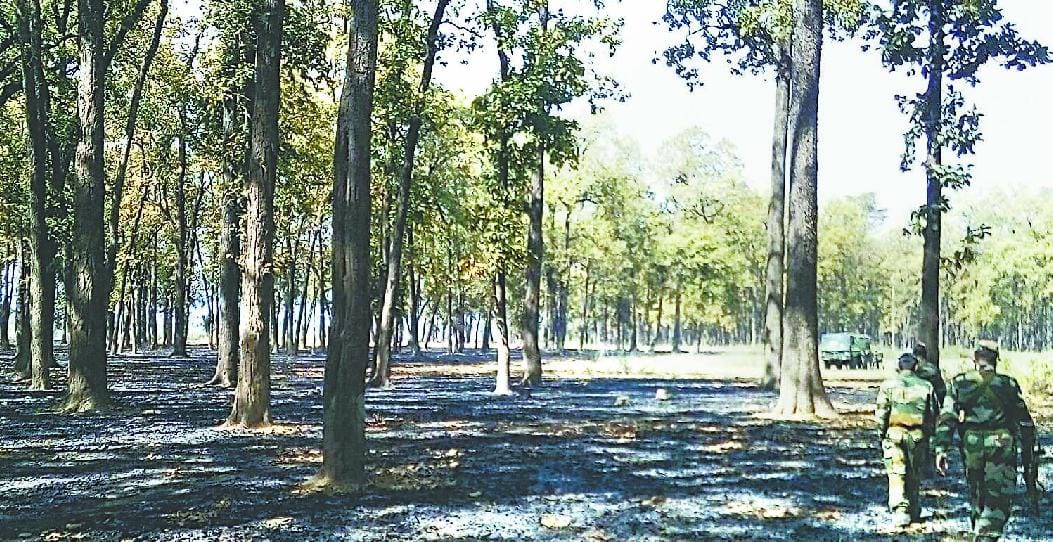 Ambuja to purchase Biroja tree leaves at Hamirpur