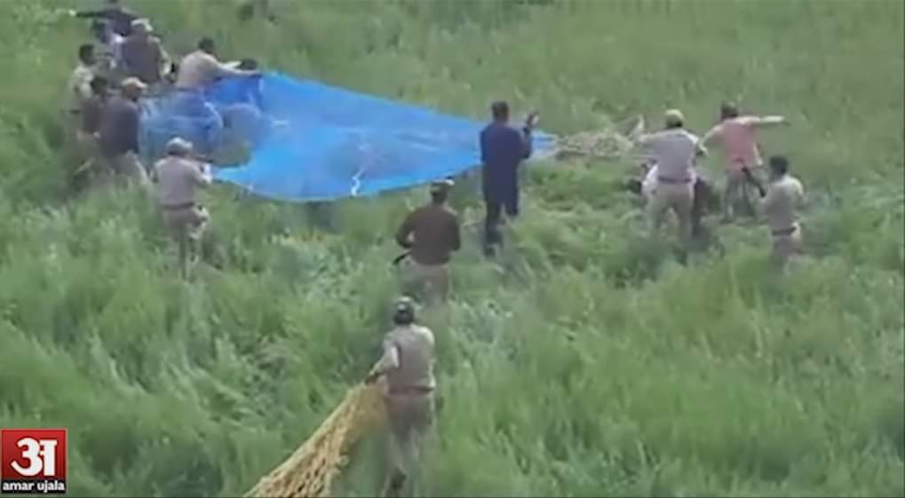 कोटद्वार में तेंदुए का आतंक