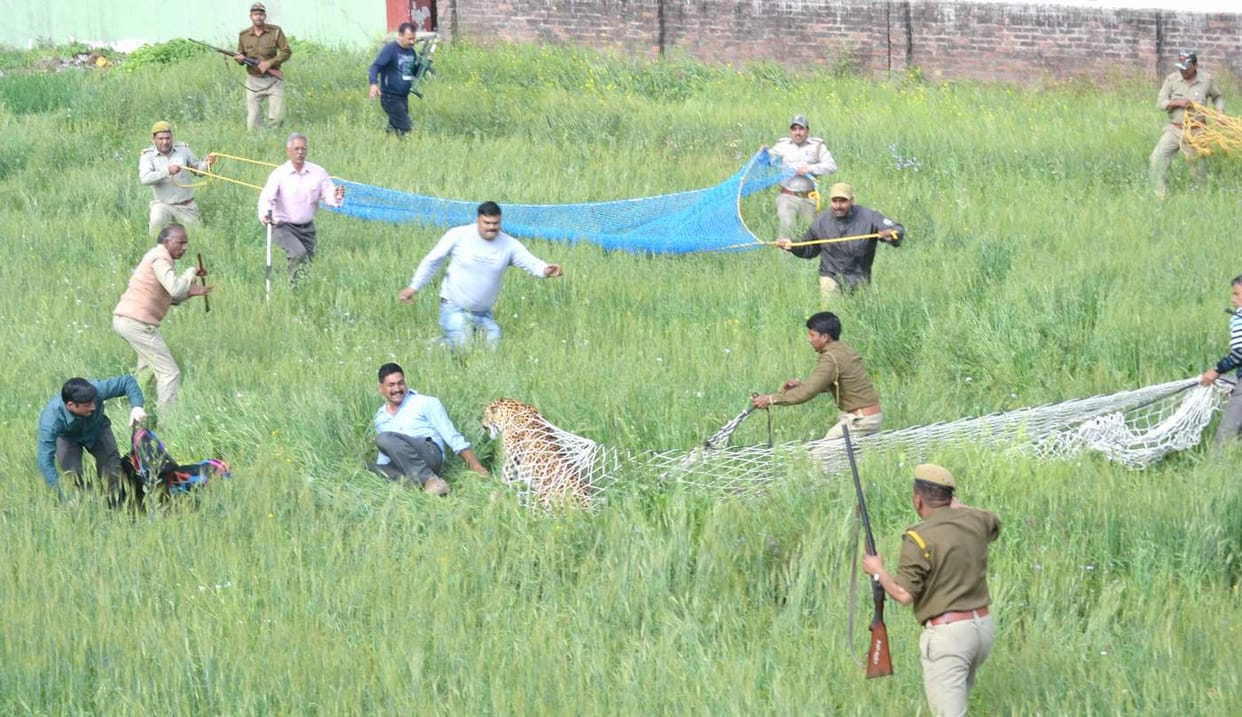 crime news in allahabad koraon 