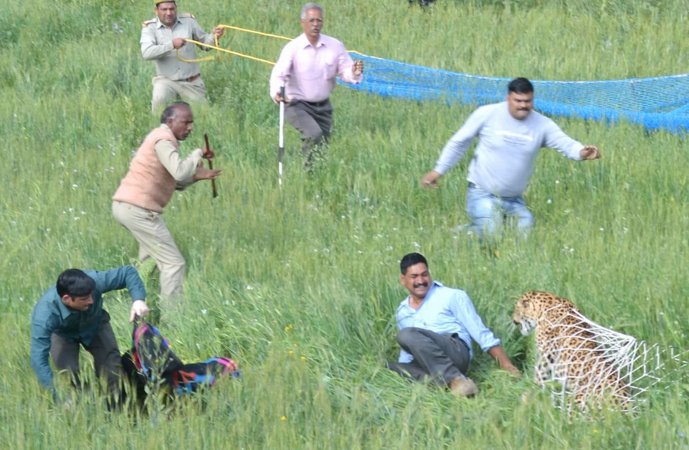 live-photosshoot-of-leopard-catch