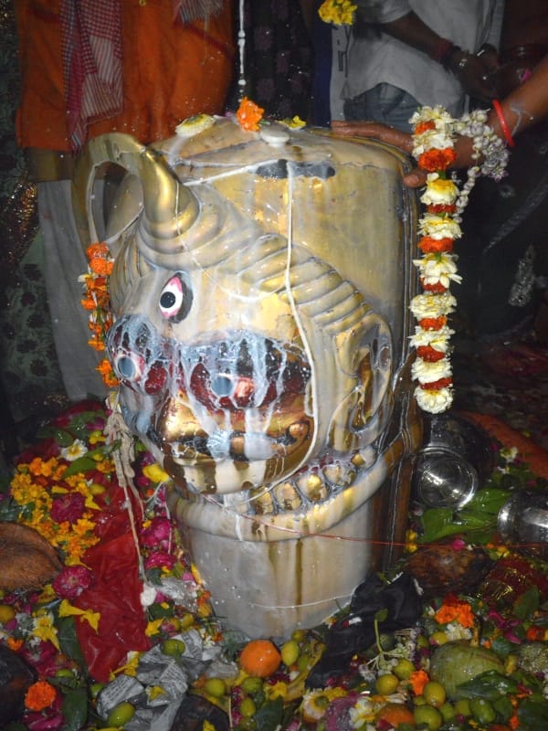mahashivratri celebration in vrindavan