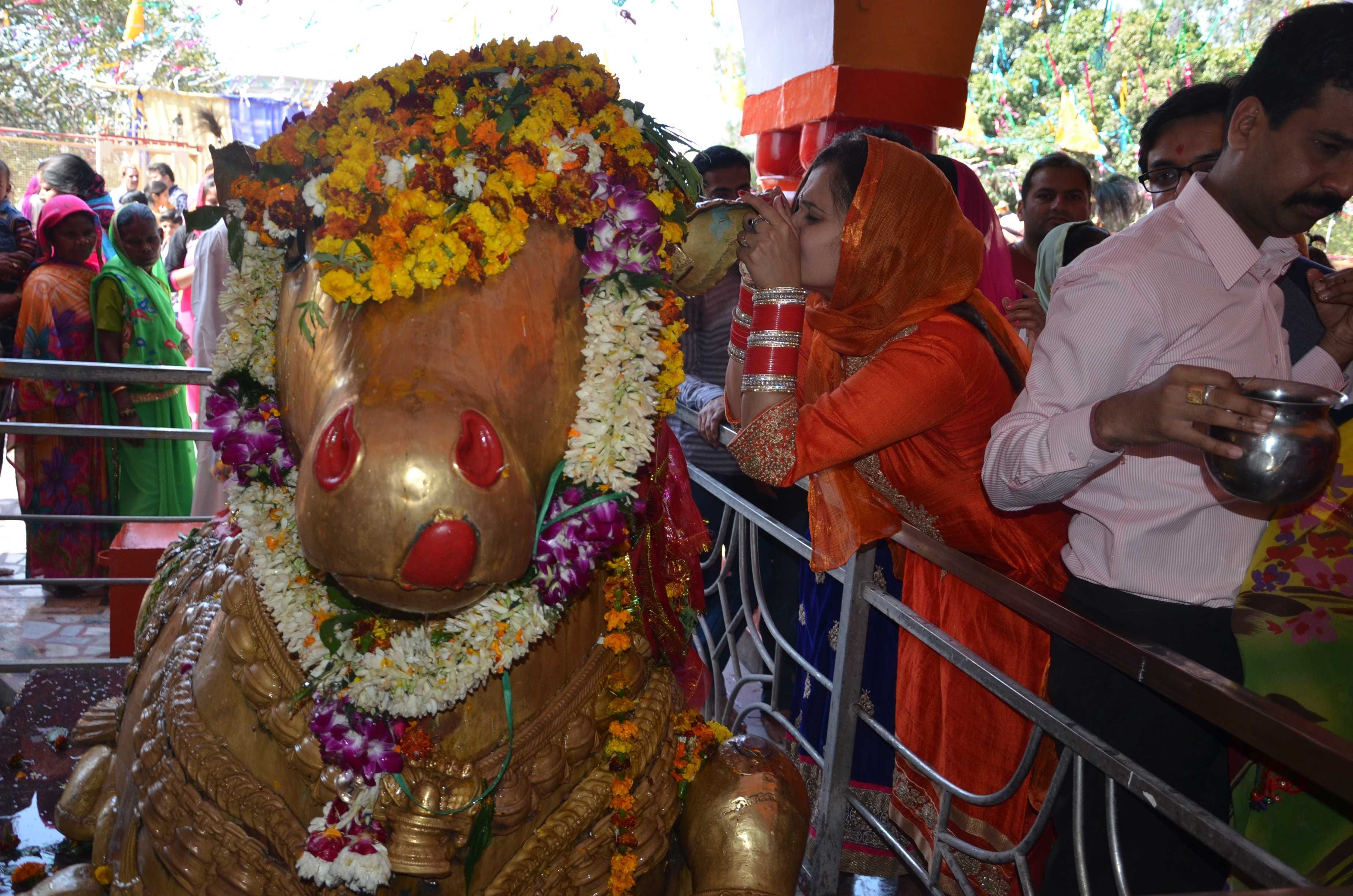 mahashivratri celebration in jammu  