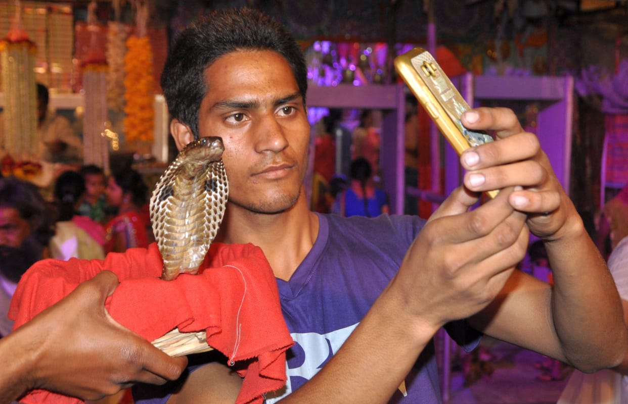 people take selfie with snake on mahashivratri