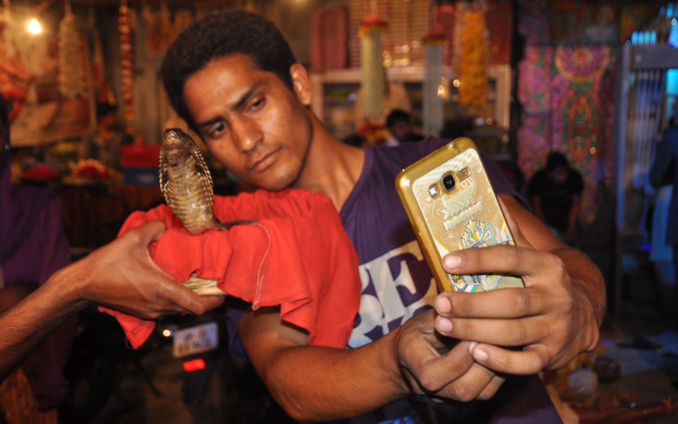 people take selfie with snake on mahashivratri