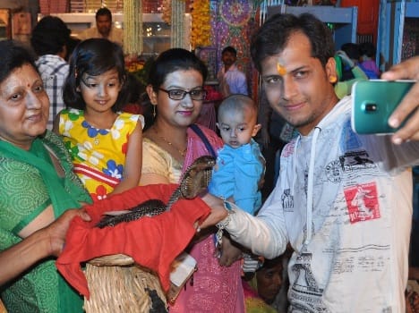 people take selfie with snake on mahashivratri