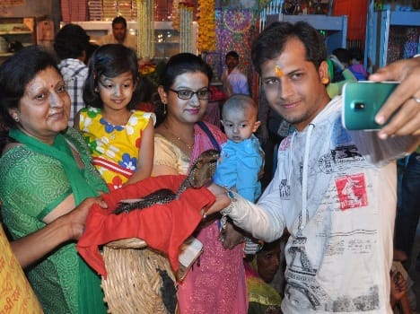 people take selfie with snake on mahashivratri