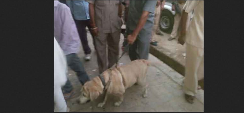  hp police constable found dead in vigilence headquarter.