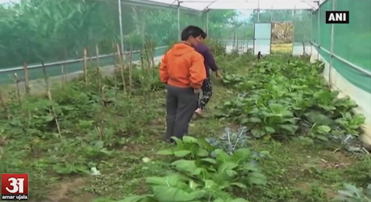 जैविक उत्पादन