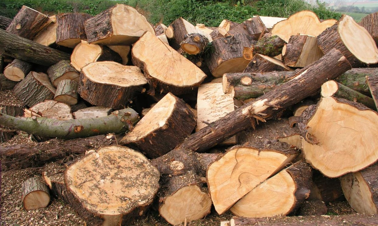 three truck catch in arki