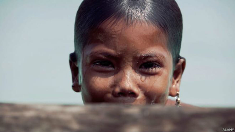 children eyes like dolphins 