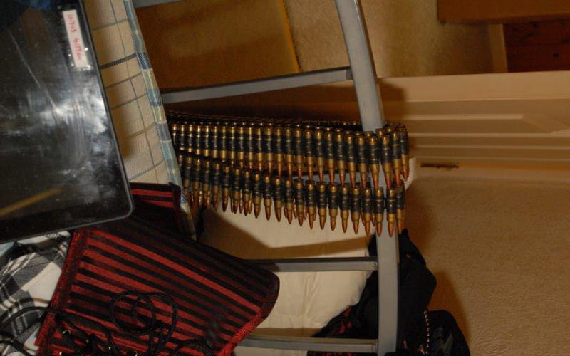  Woman jailed after massive stash of grenades and explosives found in home
